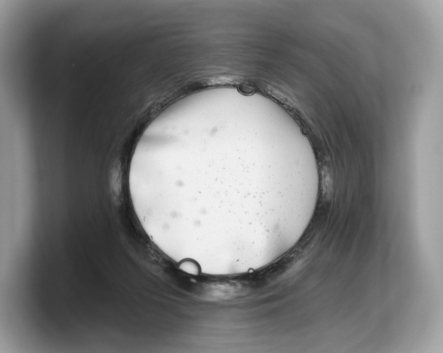 X0000103220215200809181510