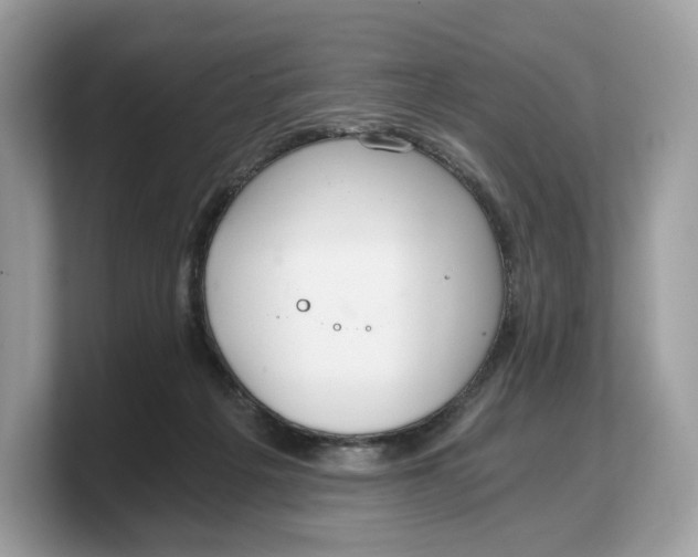 X0000103220217200809181510