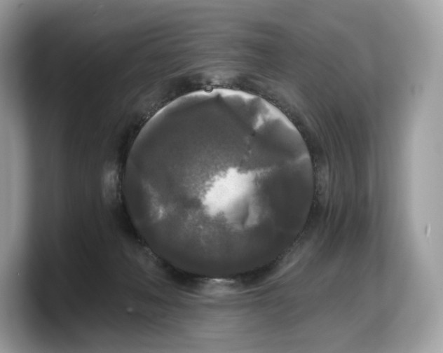 X0000103220222200809181510