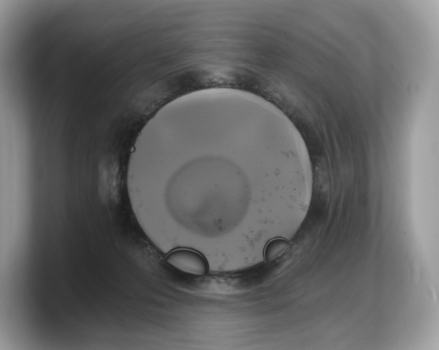 X0000103220223200809181510