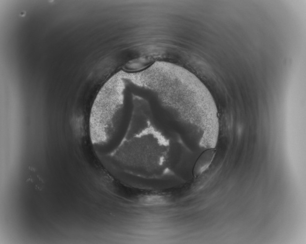 X0000103220224200809181510