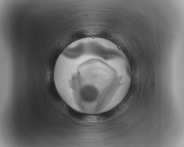 X0000103220227200809181510