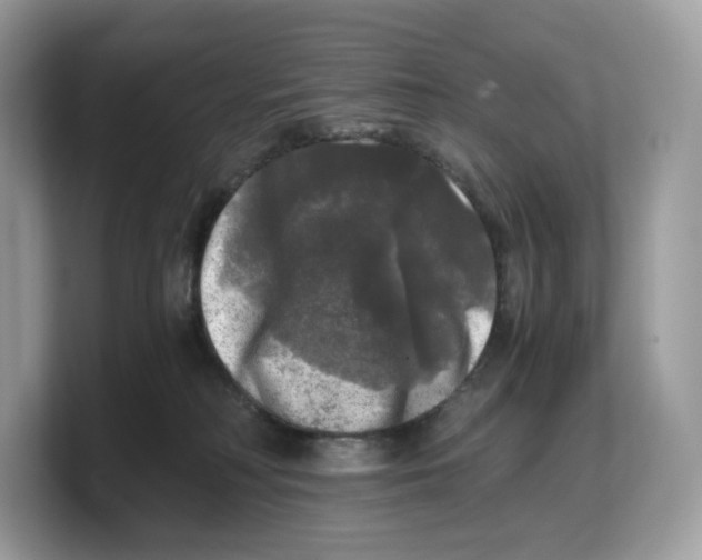 X0000103220230200809181510