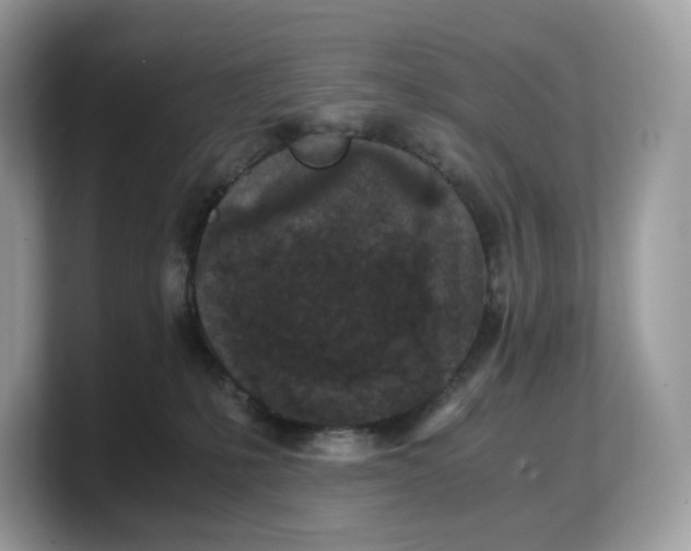 X0000103220231200809181510