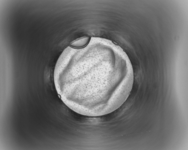 X0000103220233200809181510