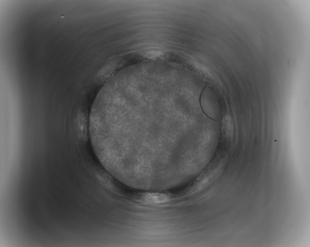 X0000103220234200809181510