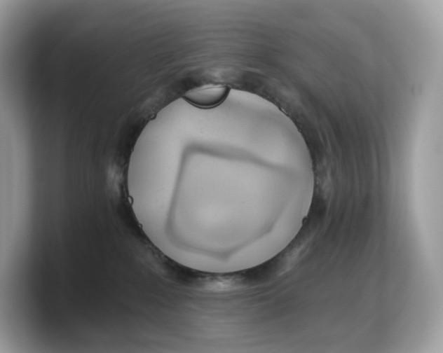 X0000103220235200809181510