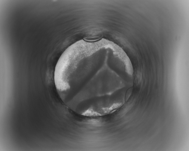 X0000103220236200809181510