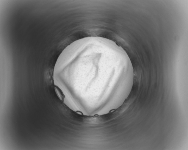 X0000103220237200809181510