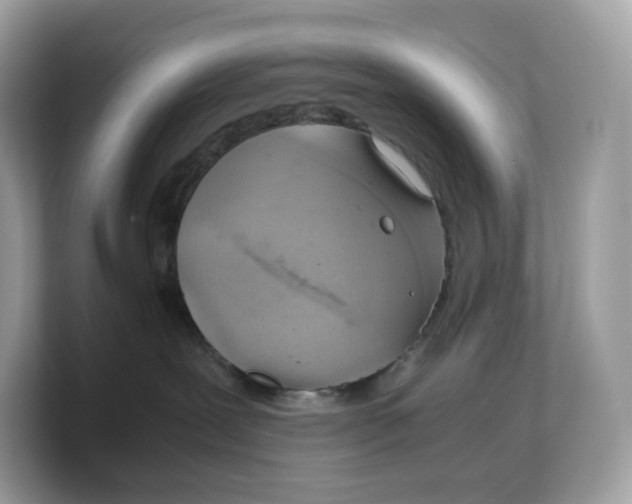 X0000103220239200809181510