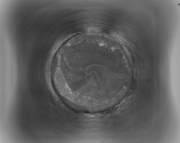 X0000103220241200809181509