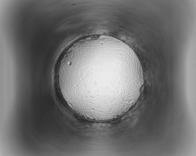 X0000103220242200809181509