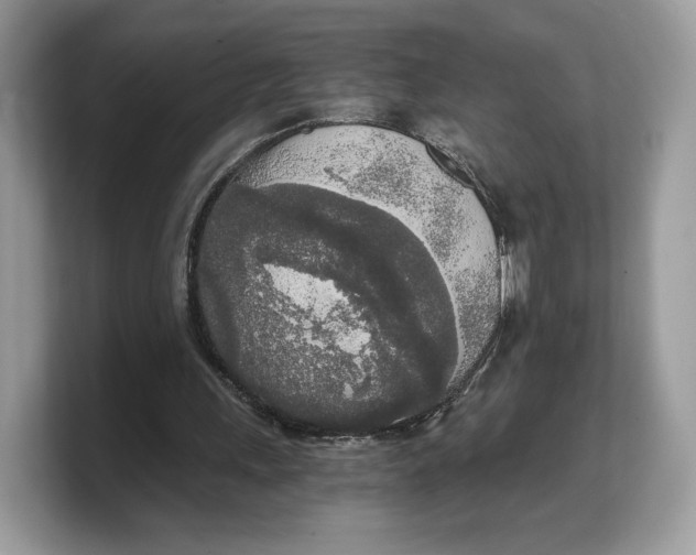 X0000103220243200809181509