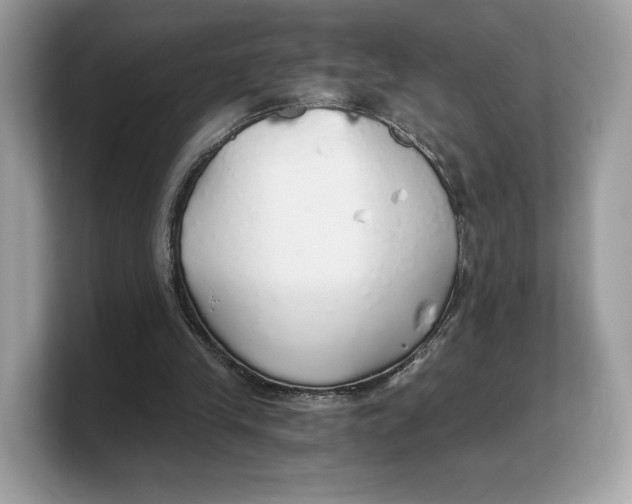 X0000103220245200809181509