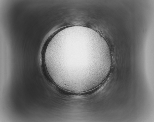 X0000103220246200809181509