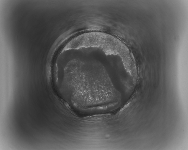 X0000103220247200809181509