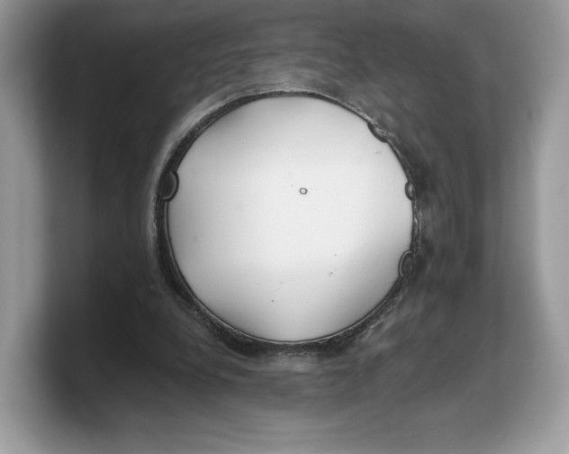 X0000103220248200809181509