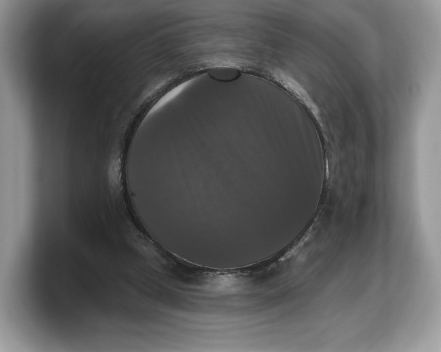 X0000103220249200809181509