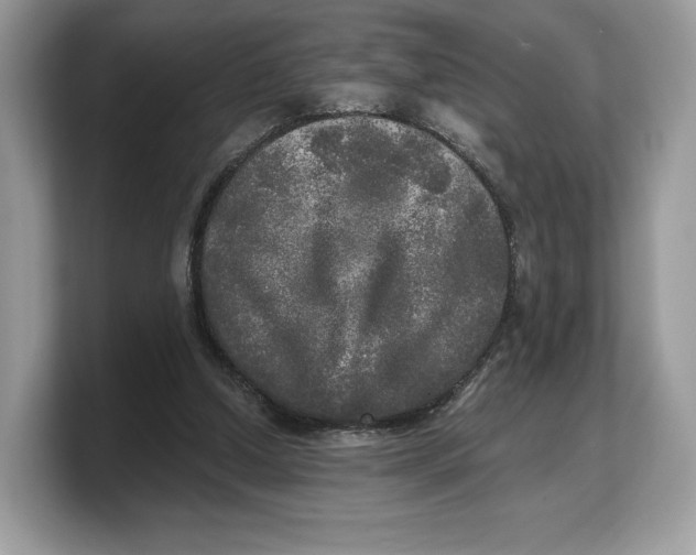 X0000103220250200809181509