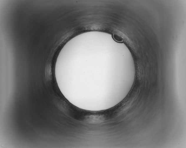 X0000103220251200809181509