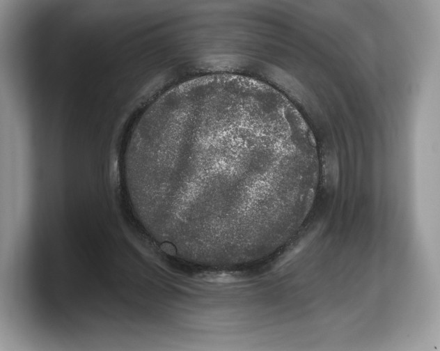 X0000103220254200809181509