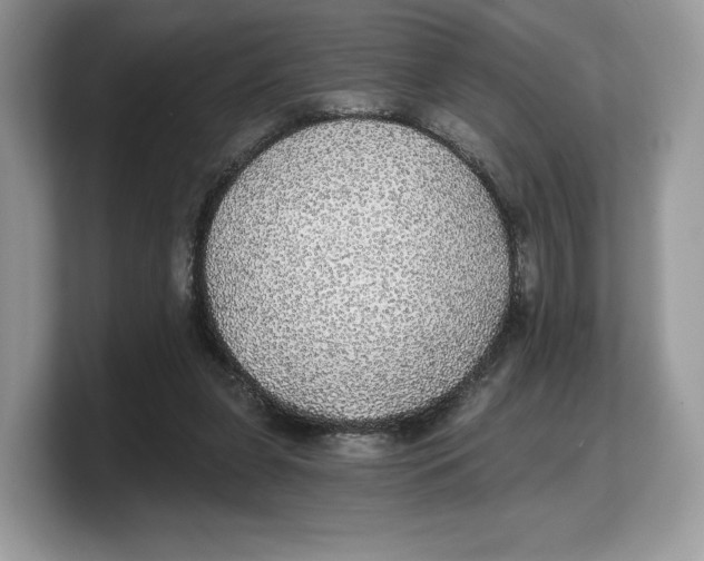 X0000103220255200809181509