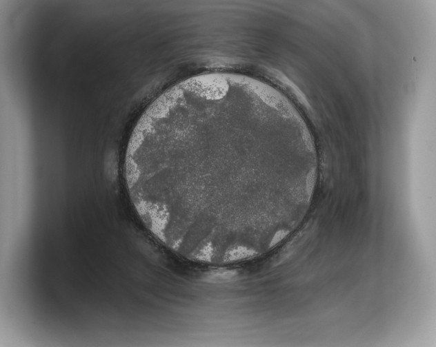 X0000103220257200809181509