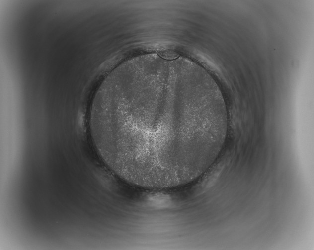 X0000103220258200809181509