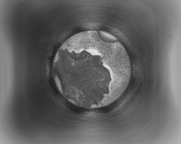 X0000103220259200809181509