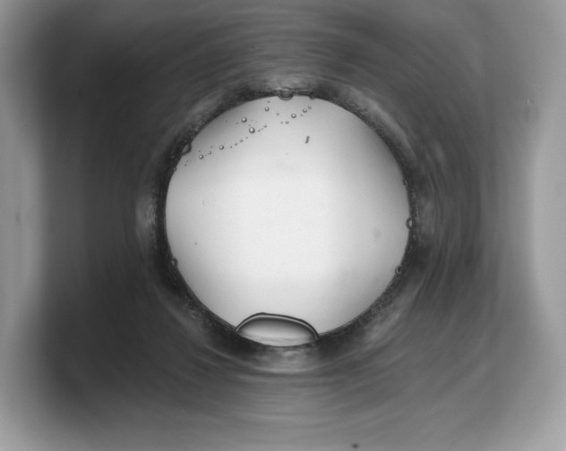 X0000103220260200809181509