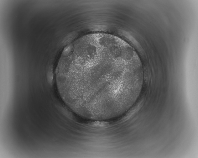 X0000103220261200809181509