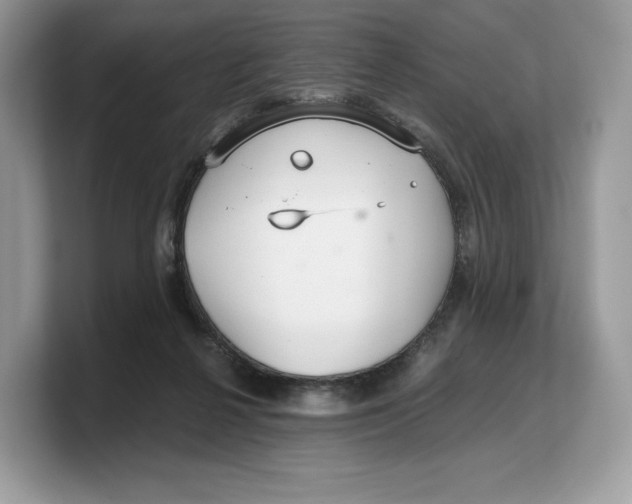 X0000103220264200809181509