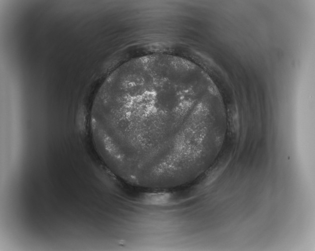 X0000103220266200809181509