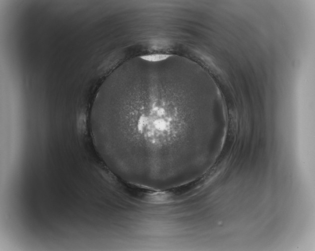 X0000103220269200809181509