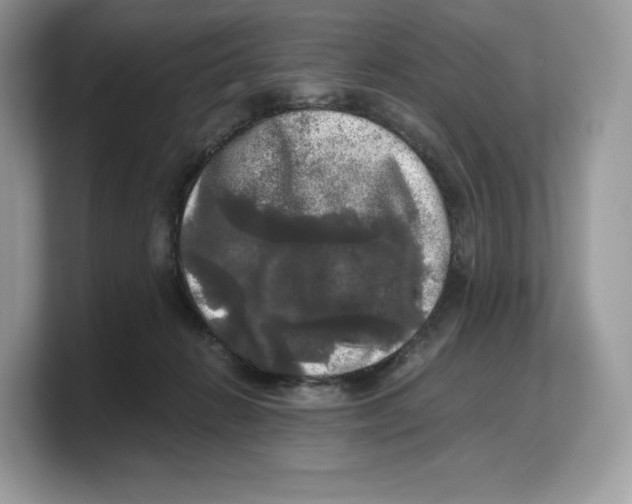 X0000103220270200809181509