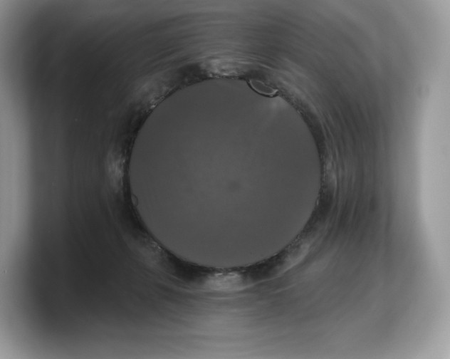 X0000103220271200809181509