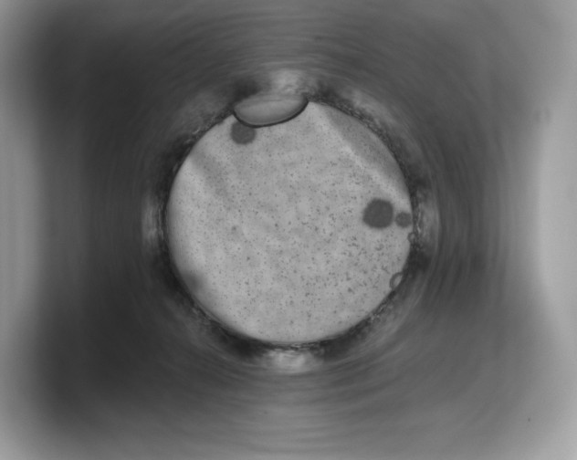 X0000103220272200809181509