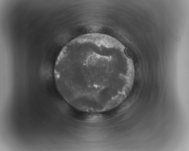 X0000103220274200809181509