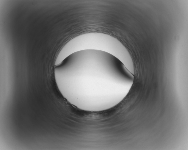 X0000103220276200809181510