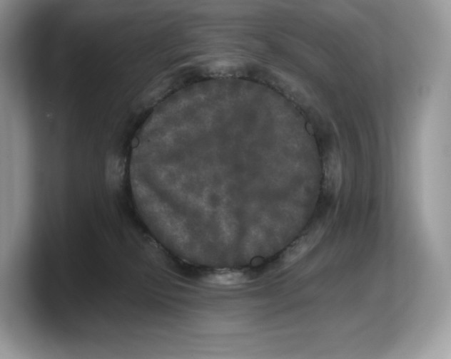 X0000103220278200809181510