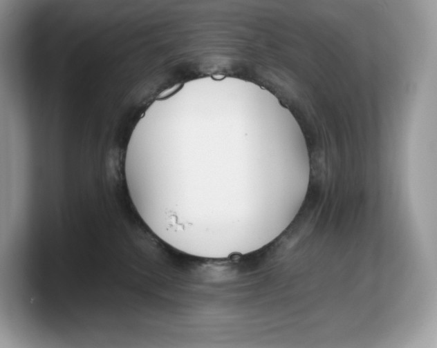 X0000103220280200809181510