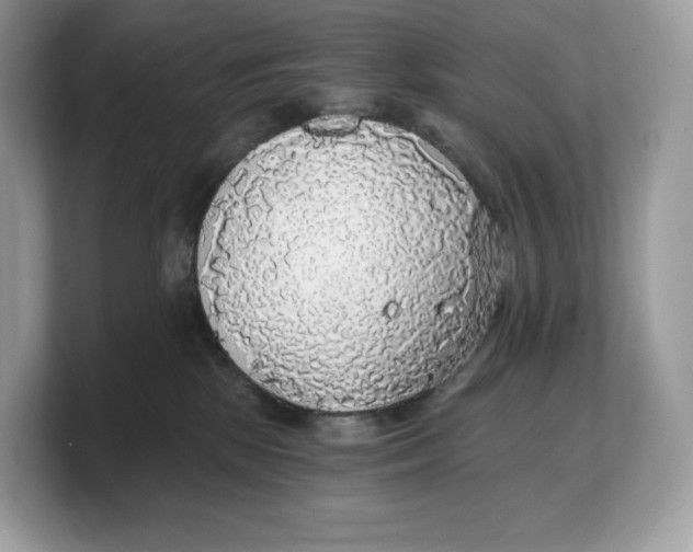 X0000103220281200809181510