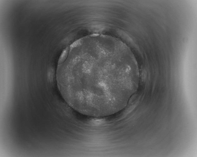 X0000103220283200809181510