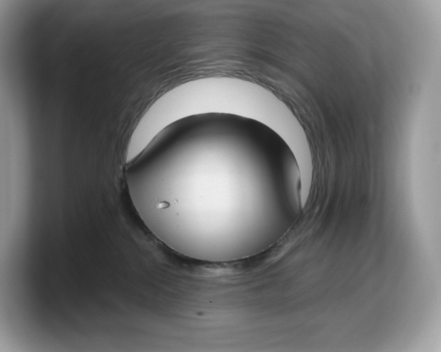 X0000103220284200809181510