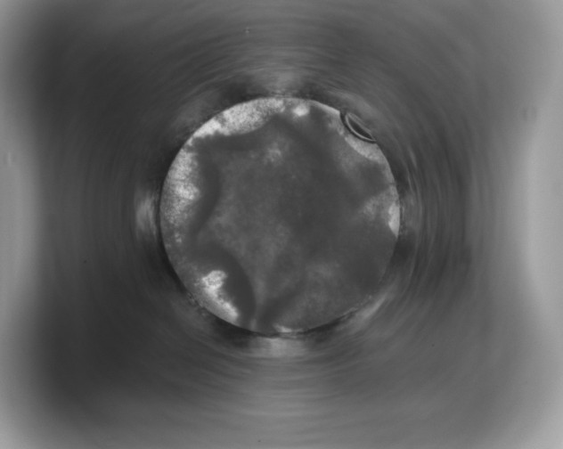 X0000103220286200809181510