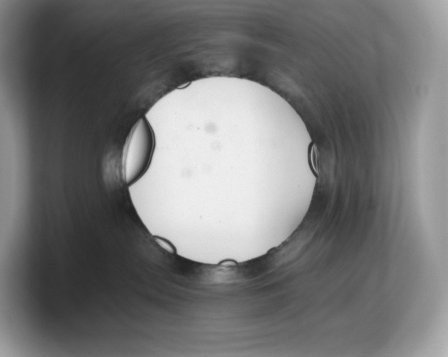 X0000103220287200809181510