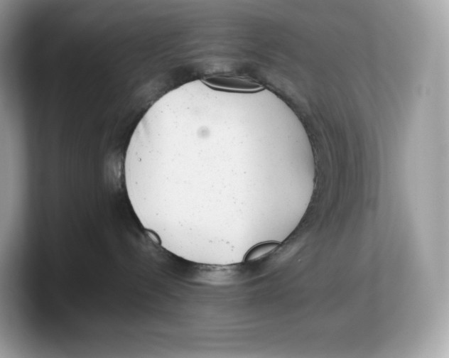 X0000103220288200809181510