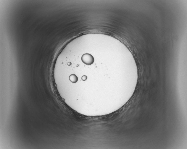 X0000103220289200809181509