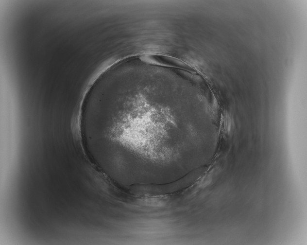 X0000103220292200809181509