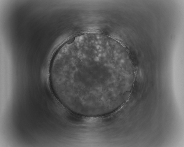 X0000103220293200809181509